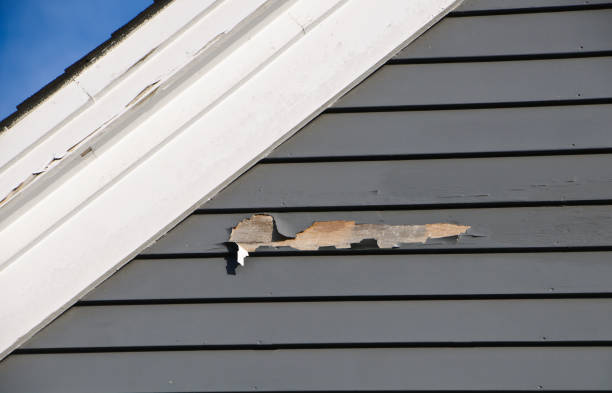 Best Wood Siding Installation  in Wildewood, MD